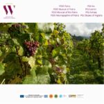 Wines of Western Greece Social Account Launching in Korea / 서그리스 와인 한국 SNS 오픈