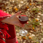 가을의 부케를 선사할 와인 8