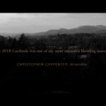 와인메이커 크리스토퍼 카펜터가 이야기하는 카디날(Cardinale) 2018 빈티지