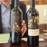 아르헨티나 와인을 세계로: 말벡 와인의 재발견, 비냐 코보스 & 크로쿠스