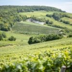 Champagne Henri Giraud celebrates 400 years of History