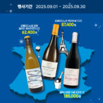 프랑스로 떠나는 와인 여정, ‘Travel France’