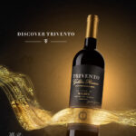 아르헨티나 1위 브랜드 ‘트리벤토’ 청기와타운에서 연말 팝업 스토어 개최