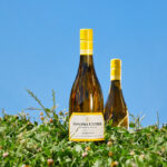 부르고뉴 영혼이 담긴 캘리포니아 와인 ‘소노마 커터’ 출시