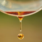 헝가리와인협회, 국제 아수 데이 기념하여 획기적인 인플루언서 캠페인 진행